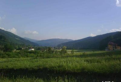 Teren în Brădet - 1