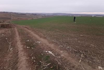 Teren agricol intravilan în Periferie - 6