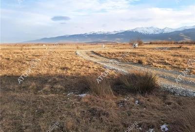 Teren Construcții extravilan de 8400 mp, în Central - 2