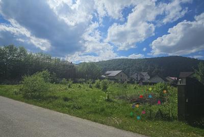 Teren Construcții intravilan de 2163 mp, în Bunloc - 8