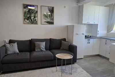 Apartament cu 2 camere decomandat în Berceni - 2
