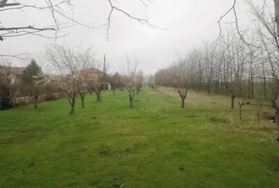 Teren Construcții intravilan de 4350 mp, în Techirghiol - 3