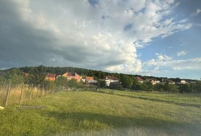 Teren de 2000 mp, în Central - 5