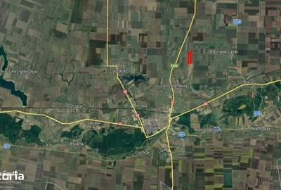 Teren de 50000 mp, în Gheorghe Lazăr