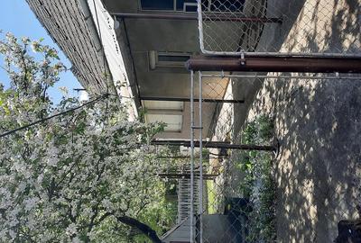 Casă cu 3 camere cu Teren 1350 Mp în Sărmașu - 6