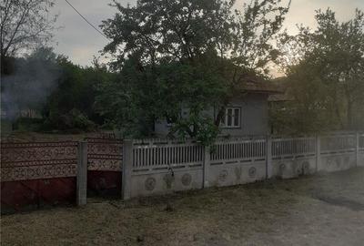 Casă cu 2 camere în Zătreni