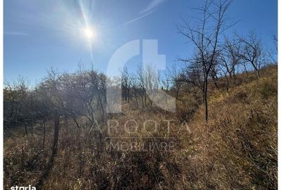 Teren de 3250 mp, în Cozieni - 3