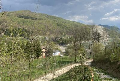 Teren Construcții de 4360 mp, în Teșila - 11