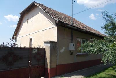Casă individuală cu 3 camere cu Teren 1906 Mp în Gelu - 1