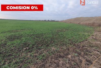 Teren agricol extravilan de 213257 mp, în Sud - 13