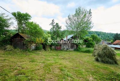 Casă cu 3 camere cu Teren 4696 Mp în Central