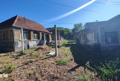 Casă cu 2 camere cu Teren 1330 Mp în Rapoltu Mare