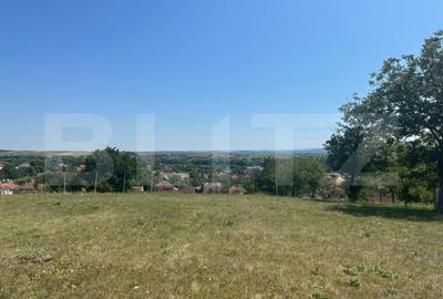 Teren de 1130 mp, în Criș