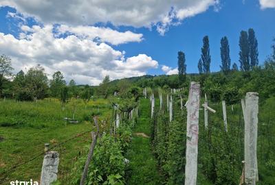 Teren de 3026 mp, în Central - 14
