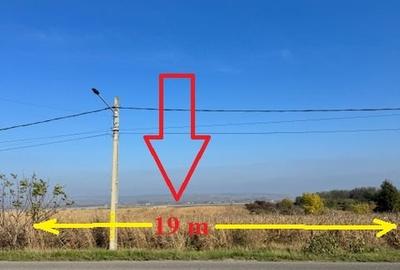 Teren agricol intravilan de 6668 mp, în Bogdan Vodă - 1