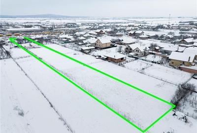 Teren Construcții intravilan de 4346 mp, în Oșorhei - 4