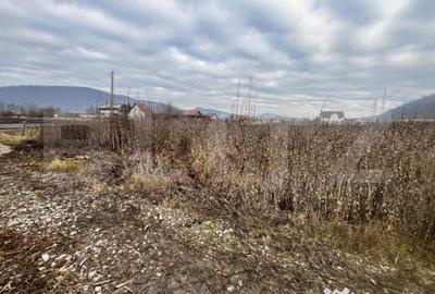 Teren de 1000 mp, în Central