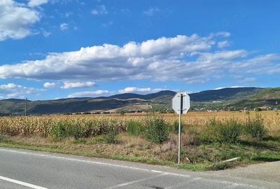 Teren de 14000 mp, în Coplean