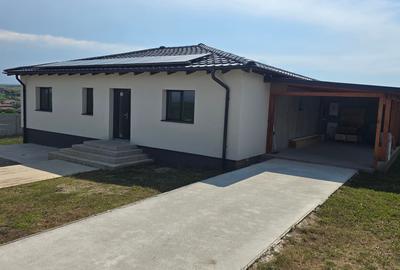 Casă individuală cu 4 camere cu Teren 501 Mp în Zăvoi - 1