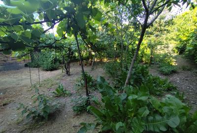 Casă individuală cu 3 camere cu Teren 378 Mp în Petrești - 8