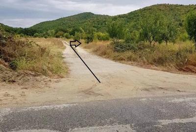 Teren de 2500 mp, în Balotești - 2