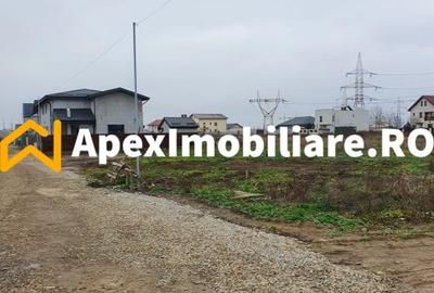 Teren Construcții intravilan de 4832 mp, în Cățelu - 2
