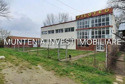 Spațiu comercial, de 672 mp, în Mărăcineni - 5