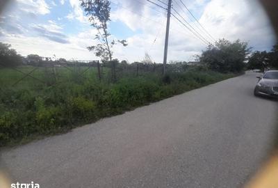 Teren de 3665 mp, în Crângurile - 2
