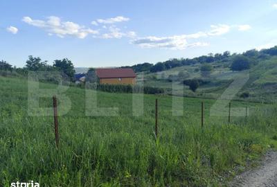 Teren de 1529 mp, în Valea Lupului