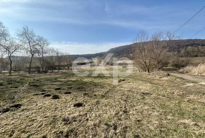 Teren Construcții intravilan de 3000 mp, în Vâlcele - 5