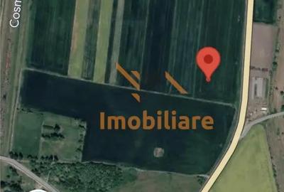 Teren în Tămășeu