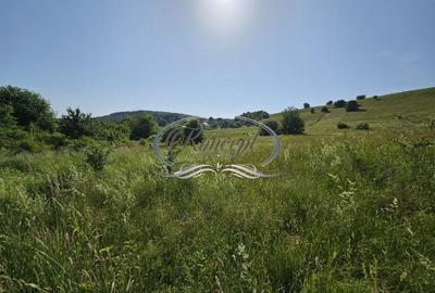 Teren Construcții intravilan de 2000 mp, în Sălicea - 5