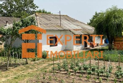 Teren Construcții intravilan de 2581 mp, în Mihail Kogălniceanu - 1