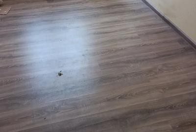 Apartament cu 3 camere nedecomandat în Mogoșoaia - 4