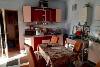 Casă cu 5 camere cu Teren 46000 Mp în Coroi - 7
