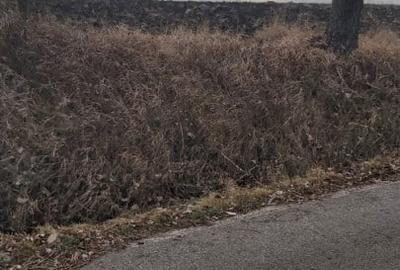 Teren agricol extravilan de 2000 mp, în Tureni - 2