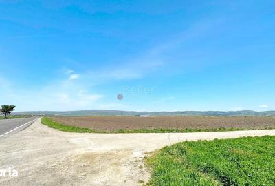 Teren de 60000 mp, în Bod