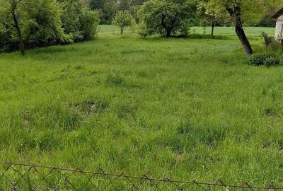 Teren de 4961 mp, în Vărădia de Mureș - 1