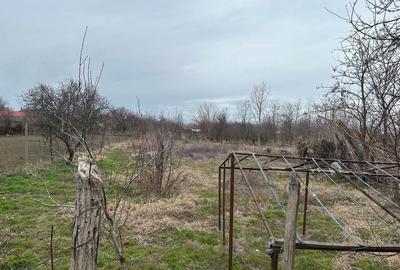 Casă cu 3 camere în Năsturelu - 1