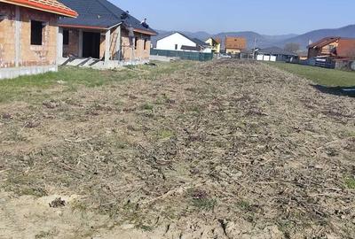 Casă cu 3 camere în Mocira
