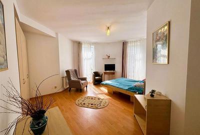 Casă individuală cu 10 camere cu Piscina în Malul Ursului - 19