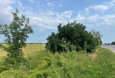 Teren Construcții intravilan de 7200 mp, în Săftica - 2
