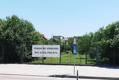Teren Construcții intravilan de 6000 mp, în Central - 5