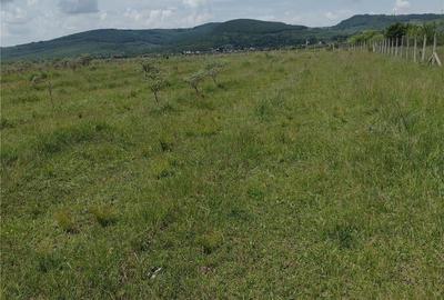 Teren de 50000 mp, în Jelna
