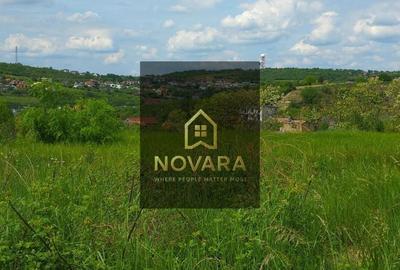 Teren de 4370 mp, în Iorga