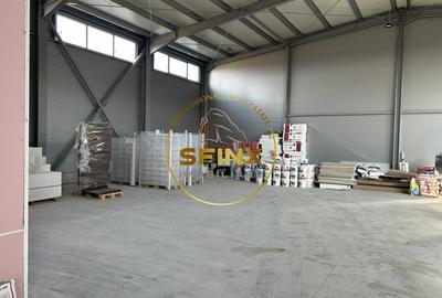 Spațiu industrial, de 566.40002441406 mp, în Theodor Pallady - 2