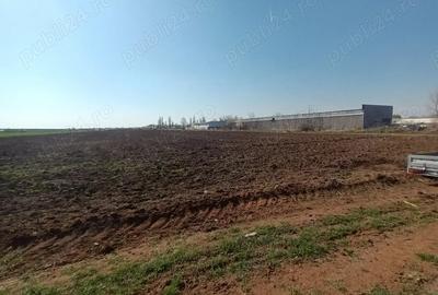 Teren de 4900 mp, în Moara Vlăsiei - 4