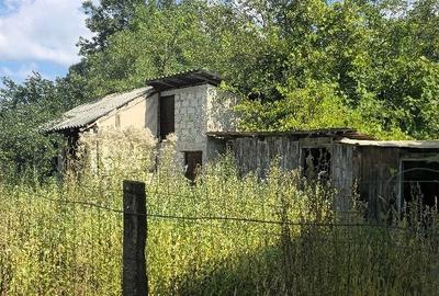 Casă cu Teren 5000 Mp în Odăeni