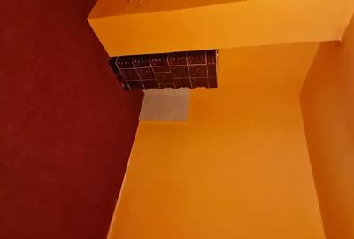 Casă cu 3 camere cu Teren 28 Mp în Sălacea - 1
