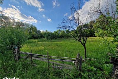 Teren de 4754 mp, în Moțăieni - 2